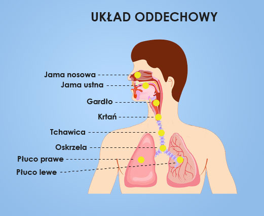 edukacja wczesnoszkolna zespół szkół specjalnych nr 1 w zielonej górze